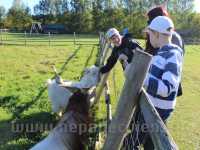 Children and young people with special needs at Mini Zoo