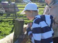 Children and young people with special needs at Mini Zoo