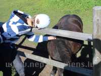 Children and young people with special needs at Mini Zoo