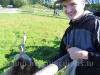 Children and young people with special needs at Mini Zoo