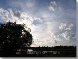 Bildes Bildes