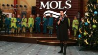Labdarības koncerts "Jaukais Es" 2017