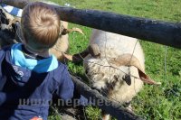 Bērni un Jaunieši ar īpašām vajadzībām Mini Zoo