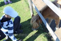 Bērni un Jaunieši ar īpašām vajadzībām Mini Zoo