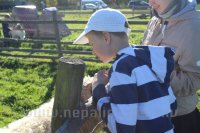 Bērni un Jaunieši ar īpašām vajadzībām Mini Zoo