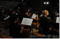 Tu Neesi Viens 2012
