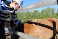 Bērni un Jaunieši ar īpašām vajadzībām Mini Zoo