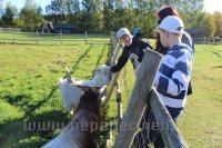 Bērni un Jaunieši ar īpašām vajadzībām Mini Zoo